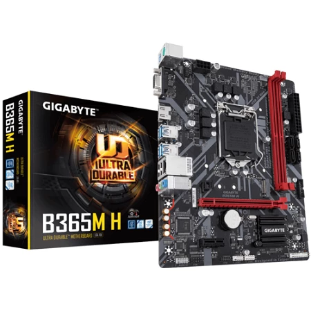 Gigabyte B365M H Motherboard