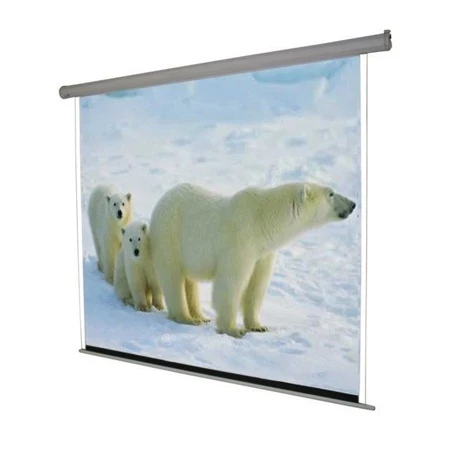 Everest PSEB100 Curtain Proyektor Screen