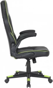 2E Hebi Black/Green (2E-GC-HEB-BK) Gaming Chair