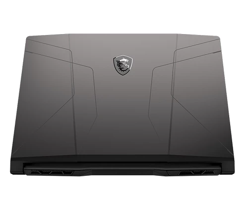 MSI GL66 11UCK-234US (9S7-158224-234) Gaming Laptop