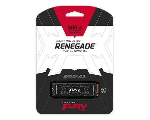 M.2 SSD Kingston Fury Renegade (SFYRS/1000G) 1 TB