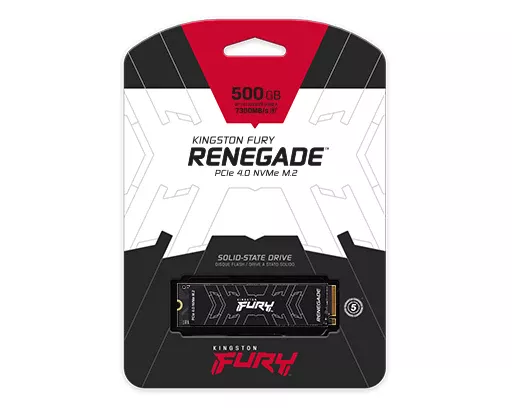 M.2 SSD Kingston Fury Renegade (SFYRS/1000G) 1 TB