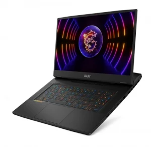 MSI Raider GE78HX 13VH-080US (9S7-17S111-080) Gaming Laptop